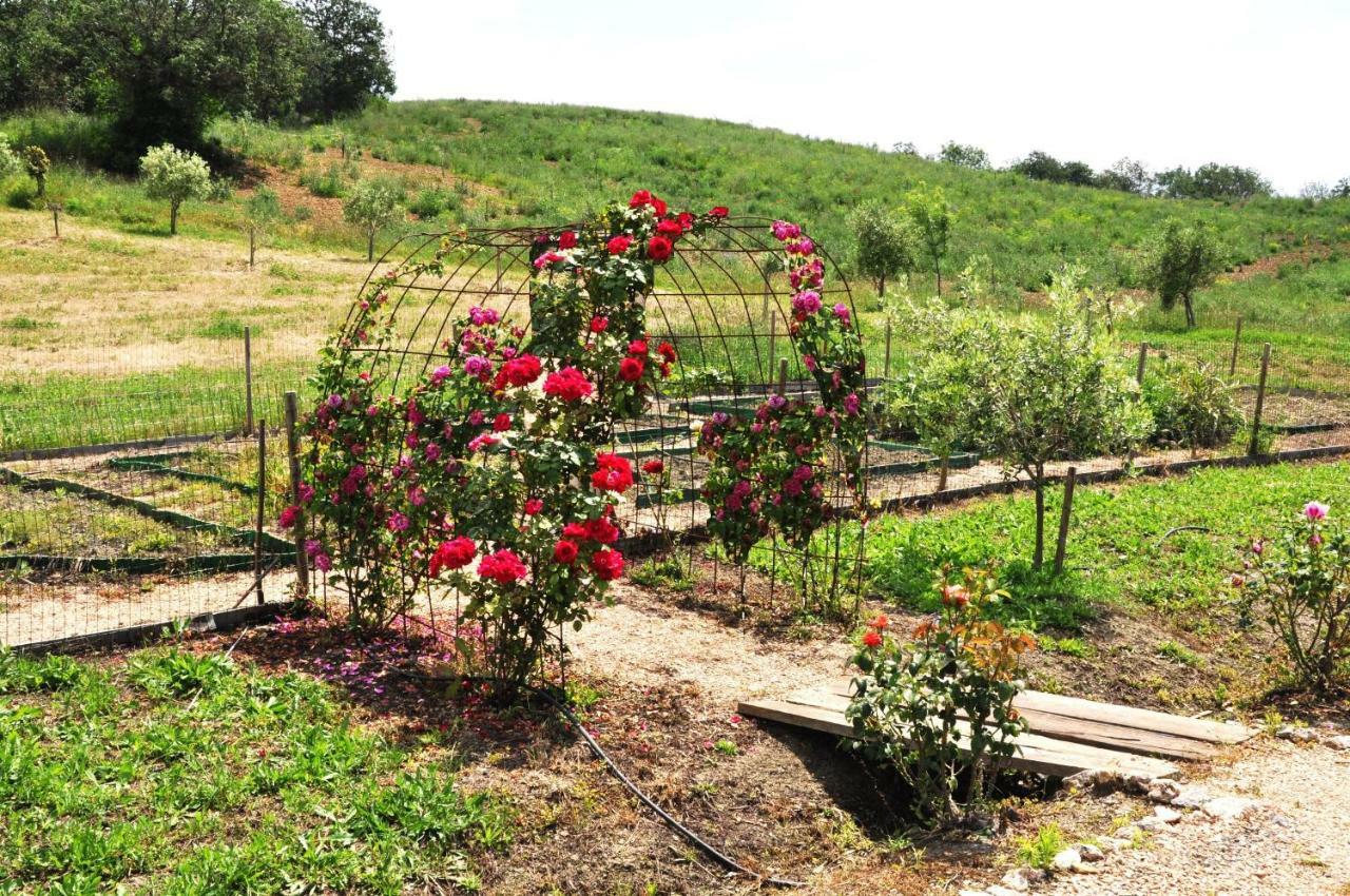 Montecristo Country House Manciano Ngoại thất bức ảnh